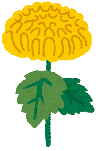 菊のイラスト「黄色い菊」